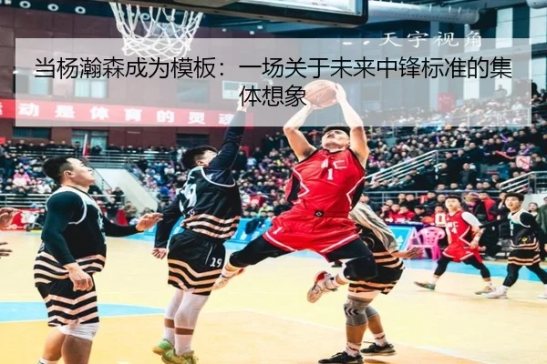 当杨瀚森成为模板：一场关于未来中锋标准的集体想象